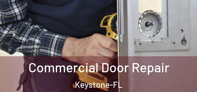  Commercial Door Repair Keystone-FL
