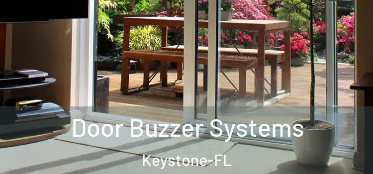 Door Buzzer Systems Keystone-FL
