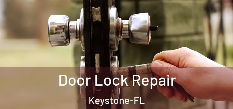 Door Lock Repair Keystone-FL