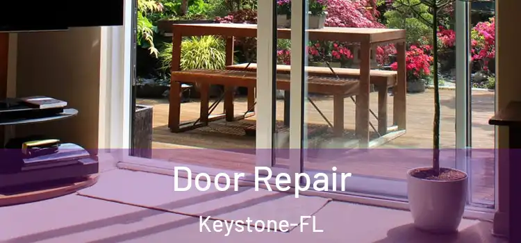  Door Repair Keystone-FL