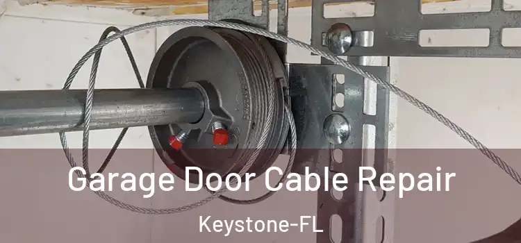  Garage Door Cable Repair Keystone-FL