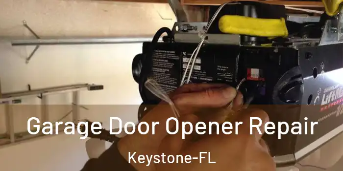  Garage Door Opener Repair Keystone-FL