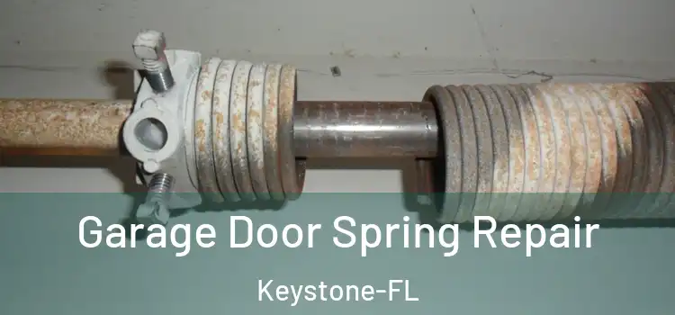  Garage Door Spring Repair Keystone-FL