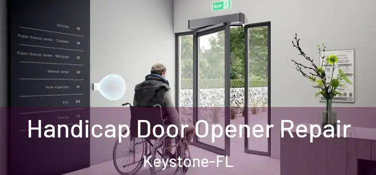  Handicap Door Opener Repair Keystone-FL