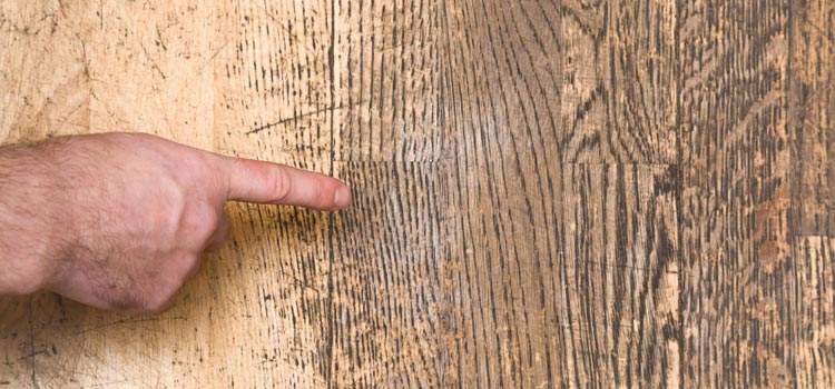 Wood Door Scratch Repair in Keystone