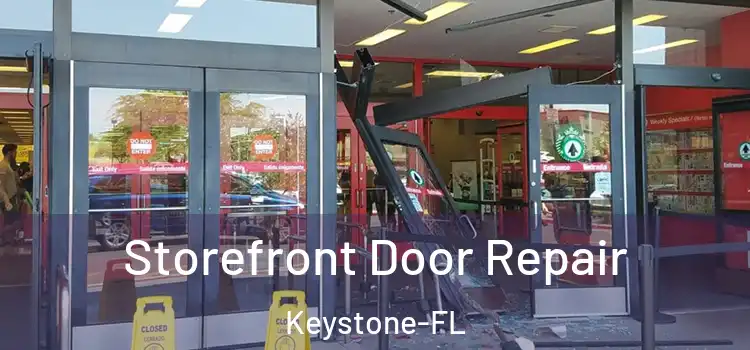  Storefront Door Repair Keystone-FL